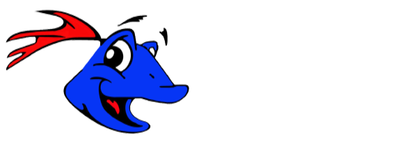 Wiifish Adventures